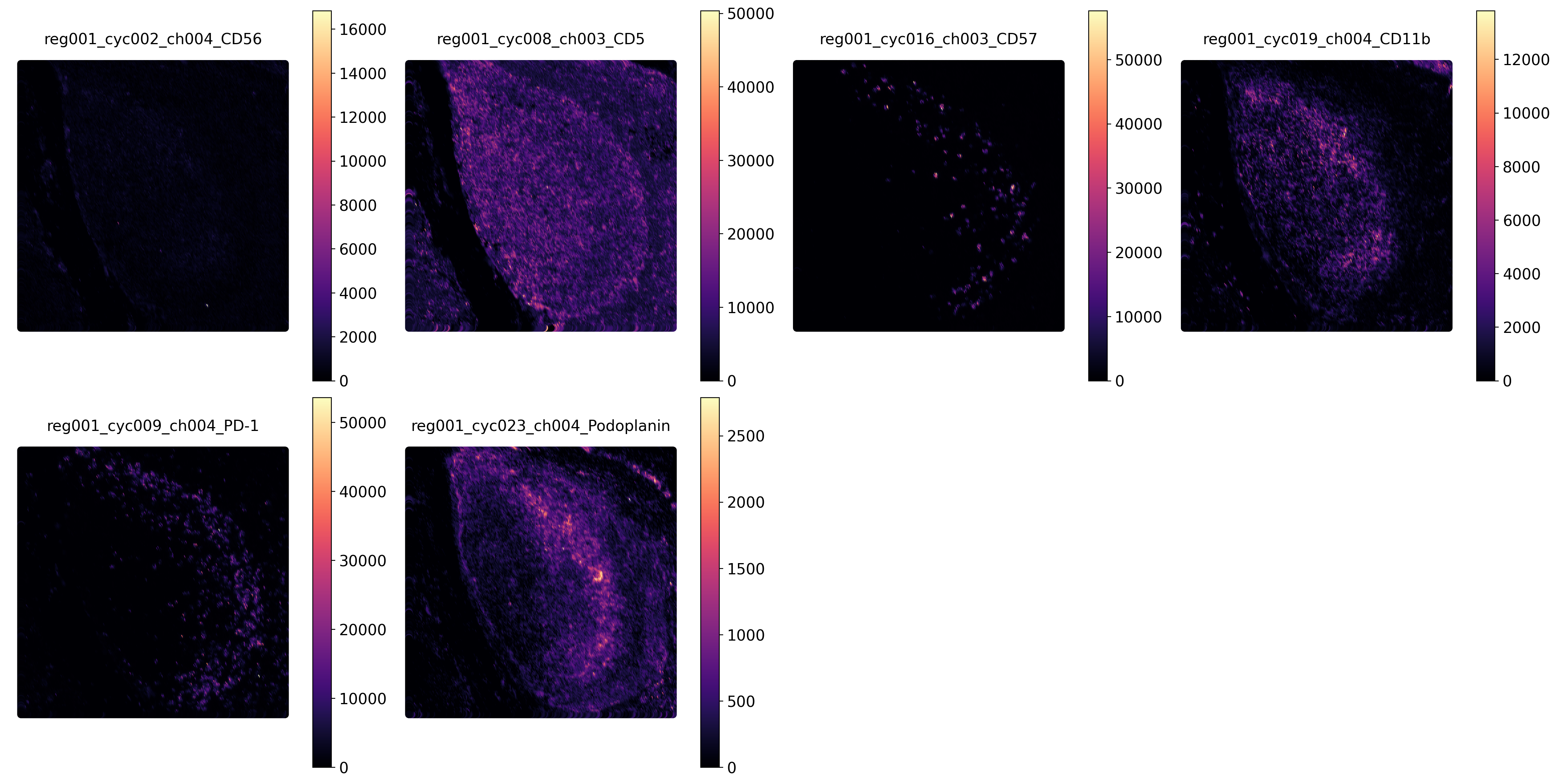 ../_images/spatial_codex_A6_21_0.png